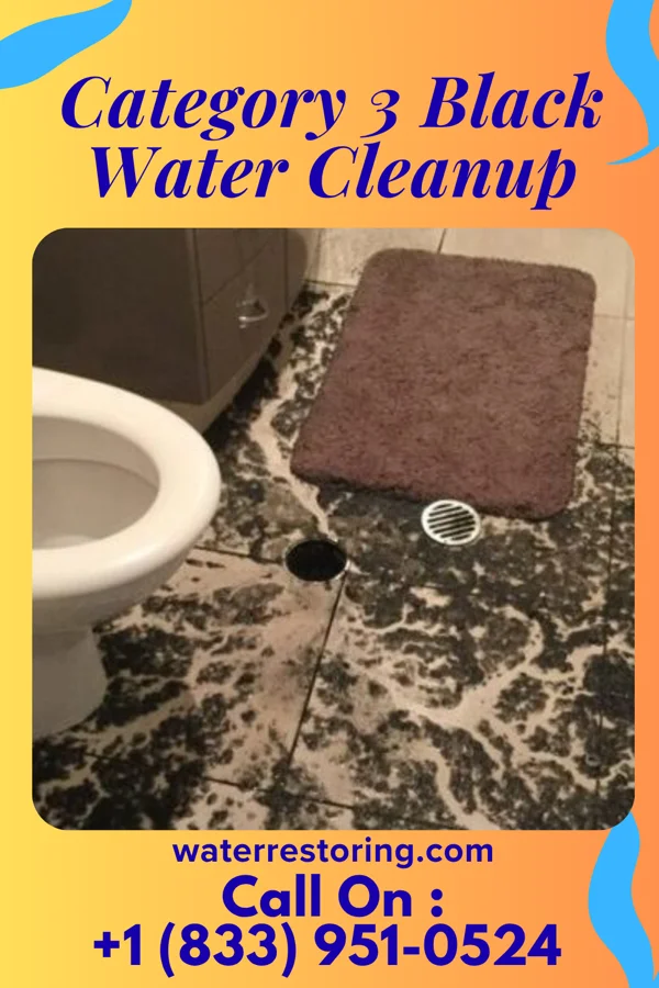 Category 3 Black Water Cleanup in Washington, GA