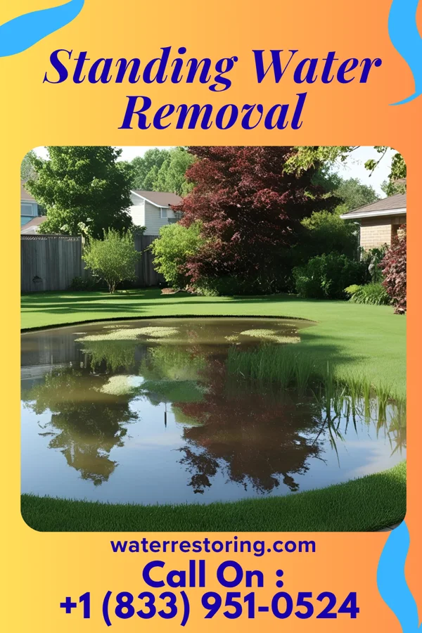 Standing Water Removal in Washington, GA